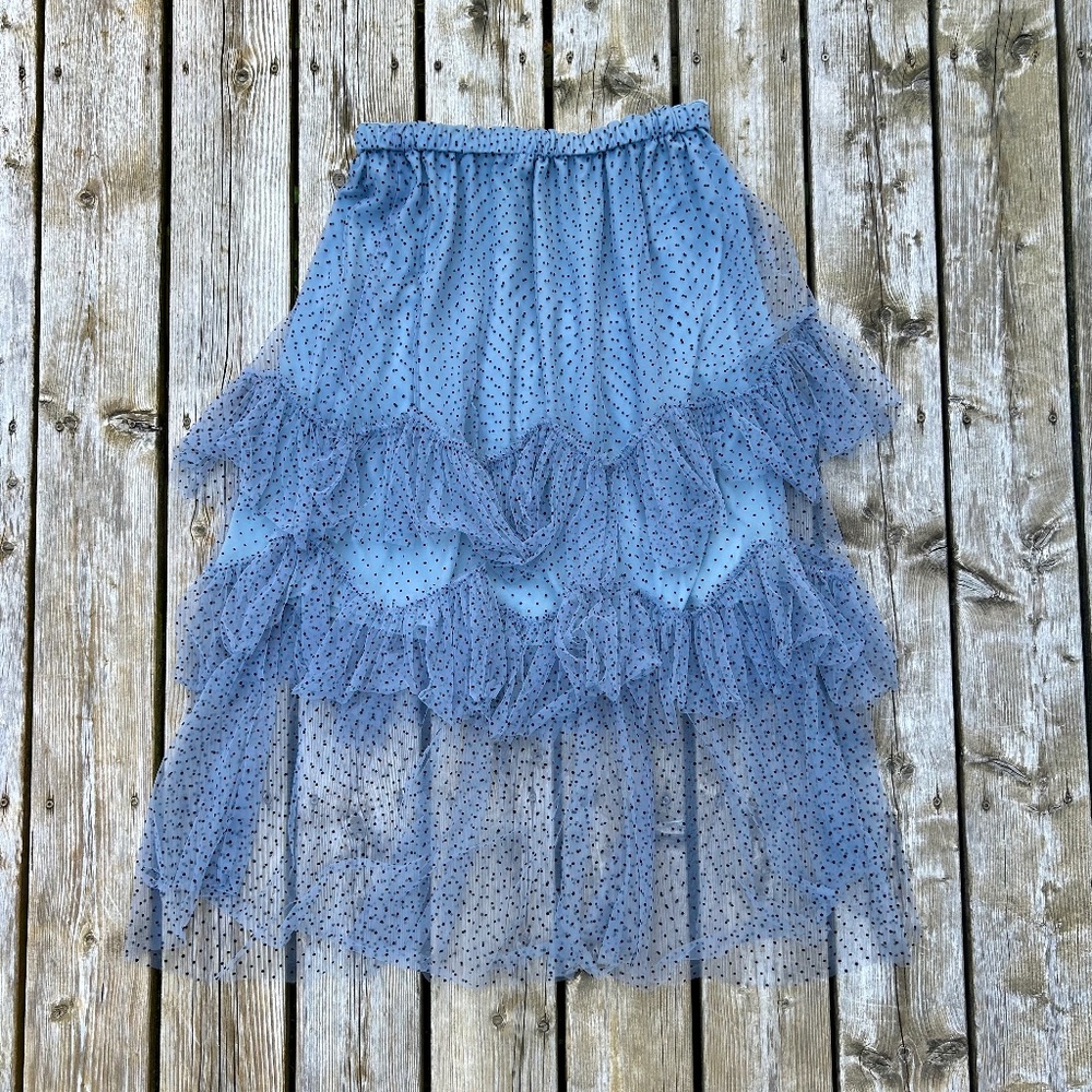 Eva Franco ⎮ Polka dot tulle skirt